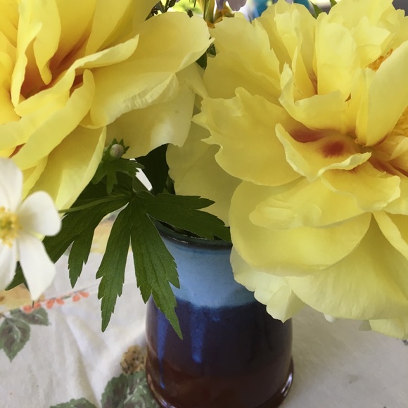 Meet your Posher, Rebecca - Picture 5 of 6